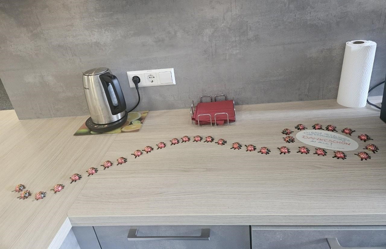Das Bild zeigt eine Schlange aus Schokoladen-Marienkäfern auf einer Küchenarebitsplatte und eine Dankeskarte.